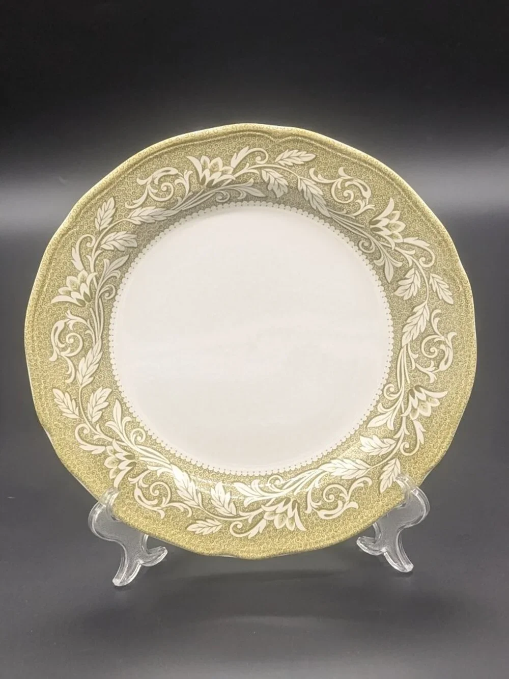 Vintage J & G Meakin Royal Staffordshire Victoria Pattern Dinner Plates Wear